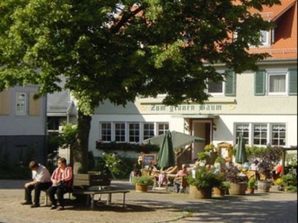 Фото: Zum gr&amp;uuml;nen Baum